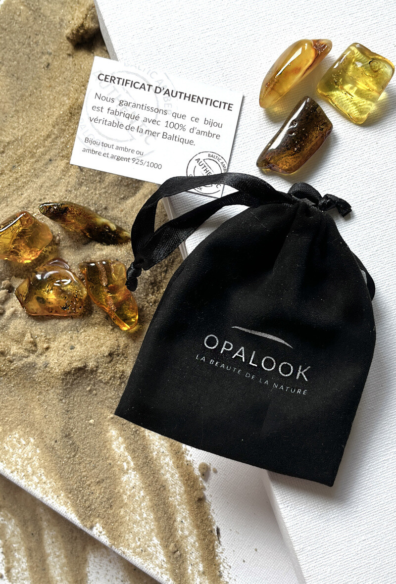 Grossista OPALOOK FRANCE - Batch di pietra ambra del mare baltico, peso 10-12 GR - PAMBRE2