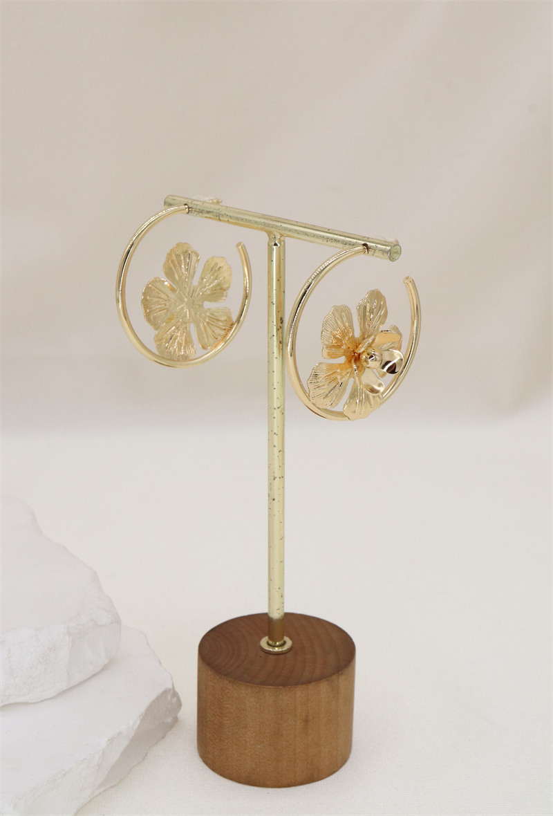 Wholesaler Orient Express - Earrings