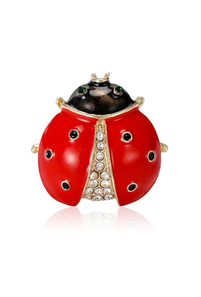 Grossista Orient Express - Spille