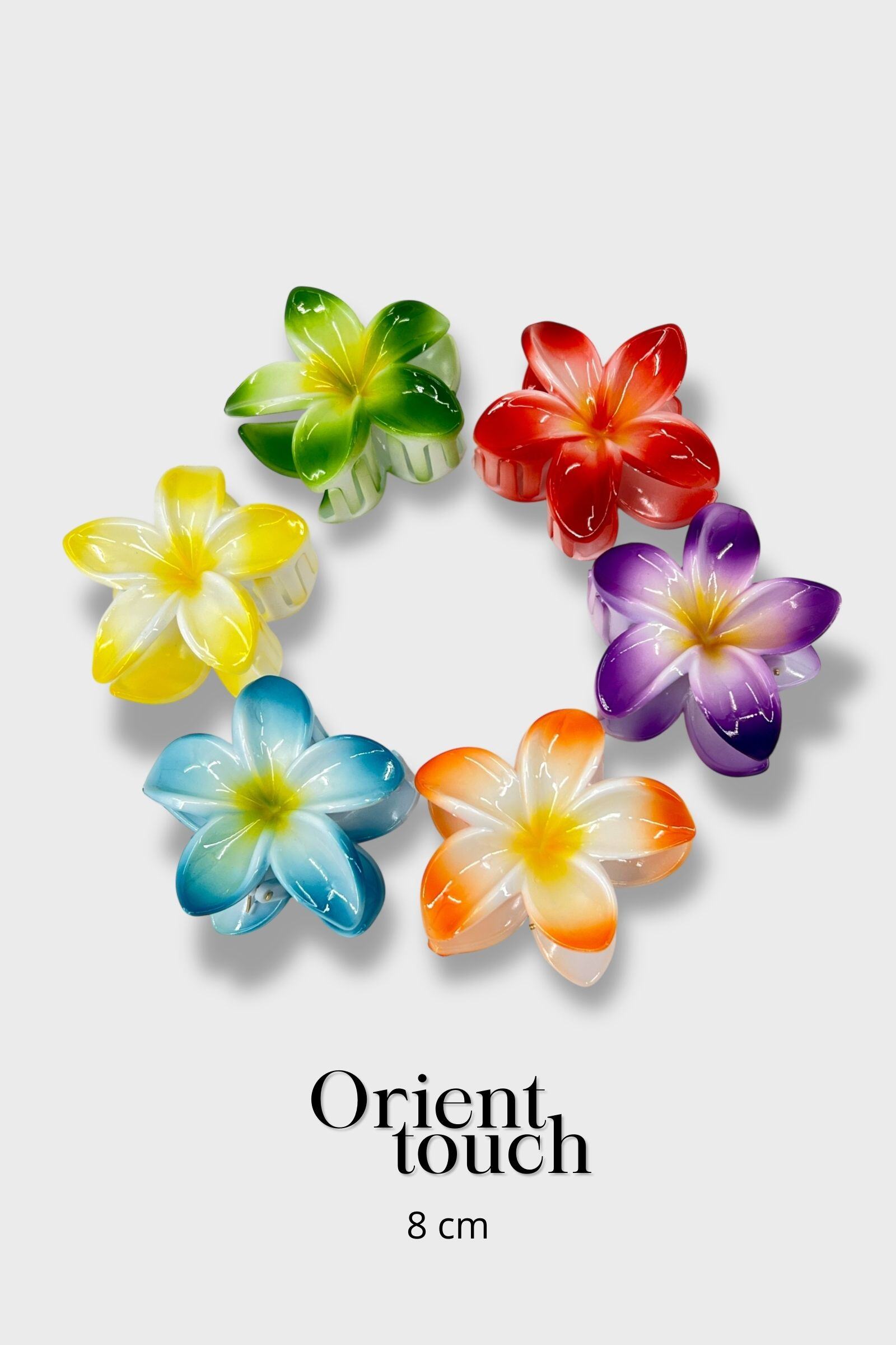 Wholesaler ORIENT TOUCH - SET OF 12 ACETATE FLOWER CLIPS 8CM