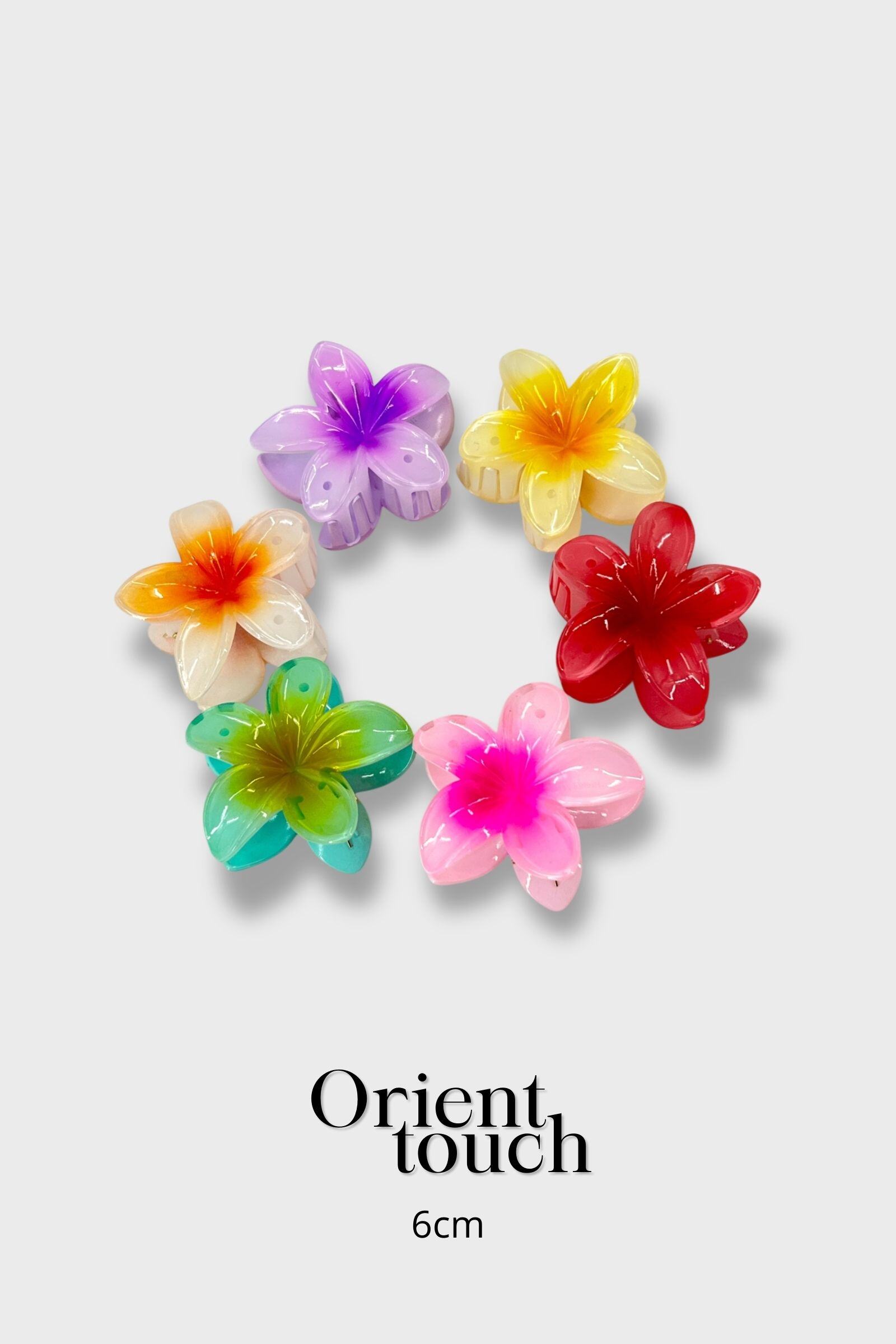 Wholesaler ORIENT TOUCH - SET OF 12 SMALL ACETATE FLOWER CLIPS
