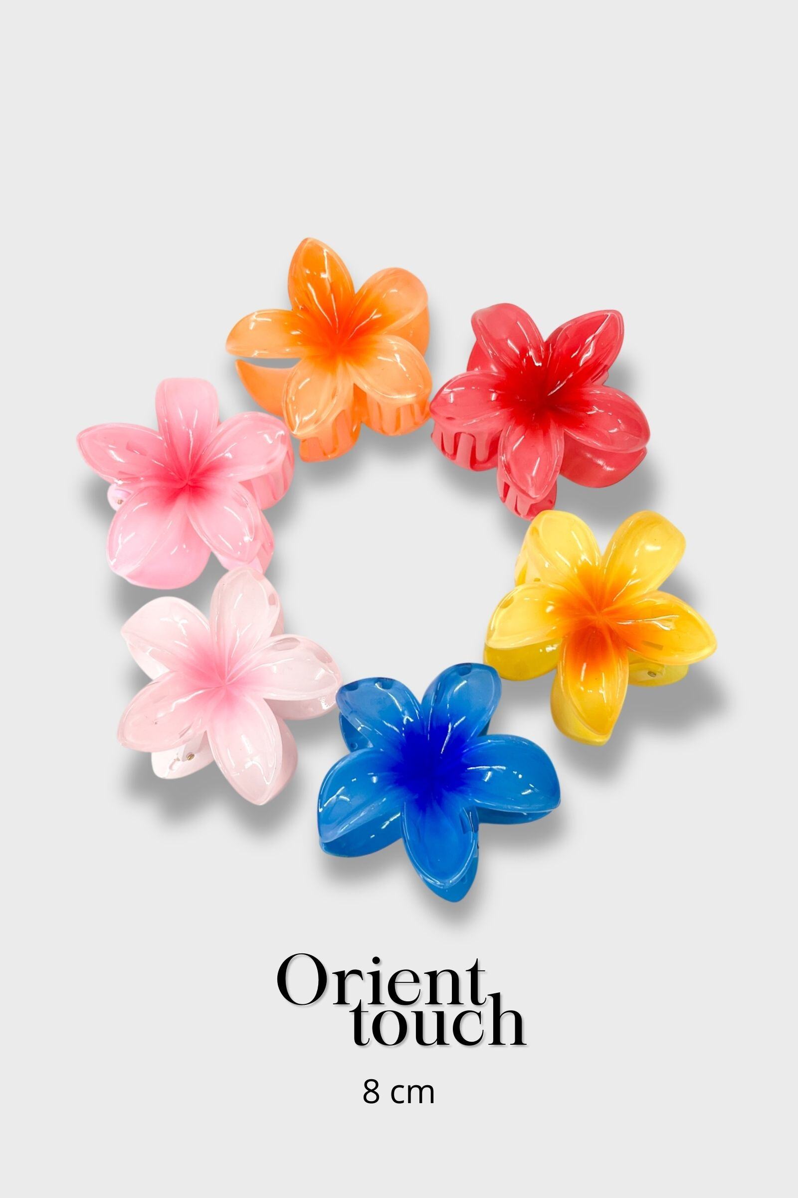 Wholesaler ORIENT TOUCH - SET OF 12 ACETATE FLOWER CLIPS 8CM