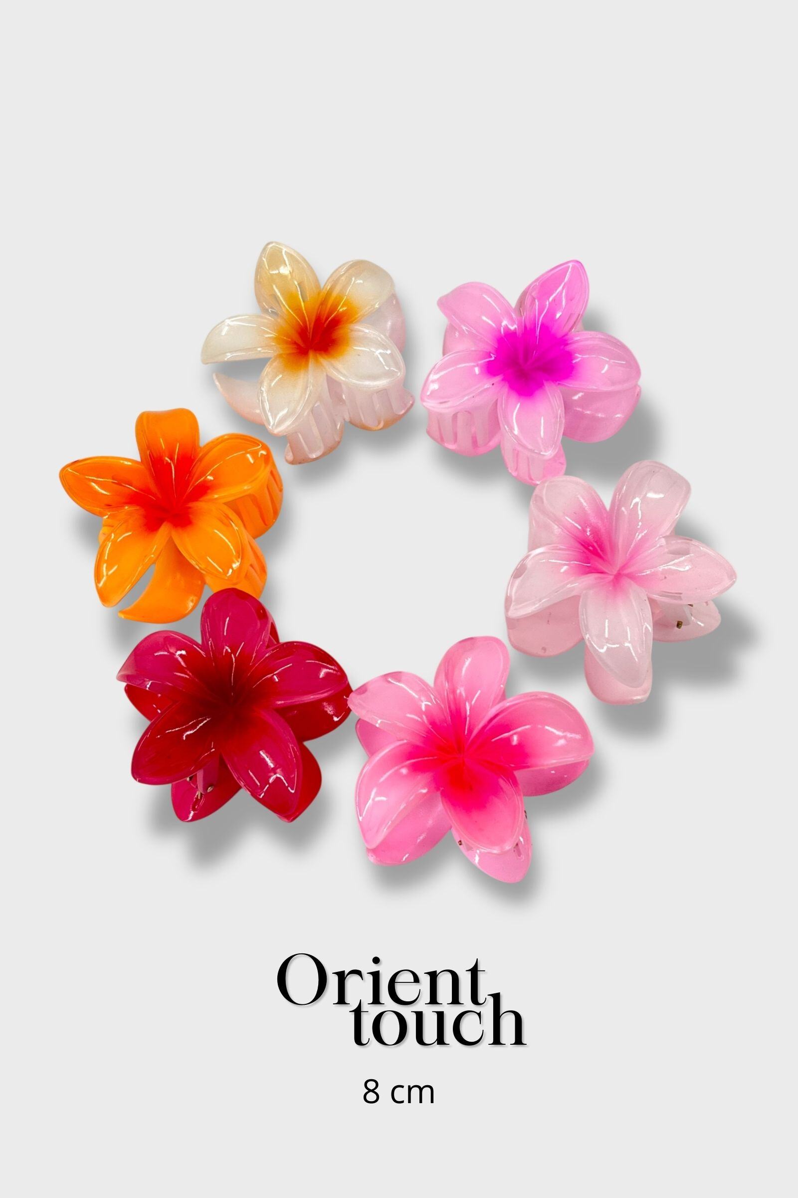 Wholesaler ORIENT TOUCH - SET OF 12 ACETATE FLOWER CLIPS 8CM