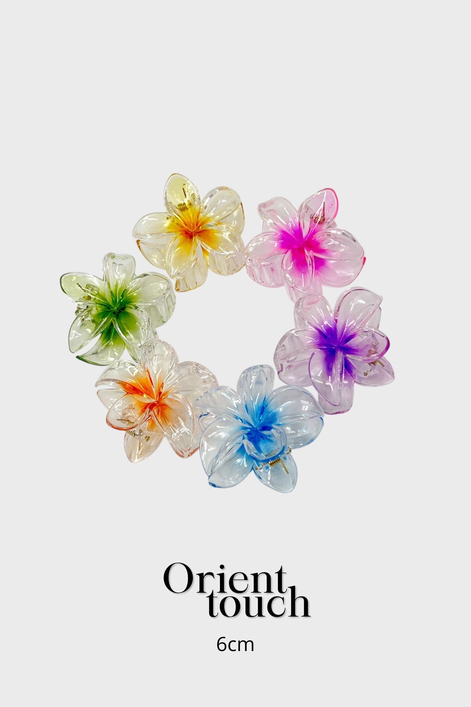Wholesaler ORIENT TOUCH - 6CM ACETATE FLOWER CLIP