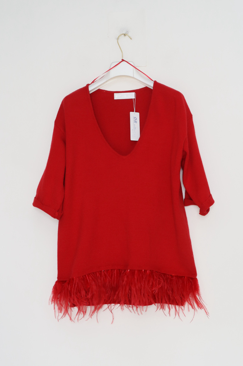 Wholesaler Orlinn - V neck sweater with feathers