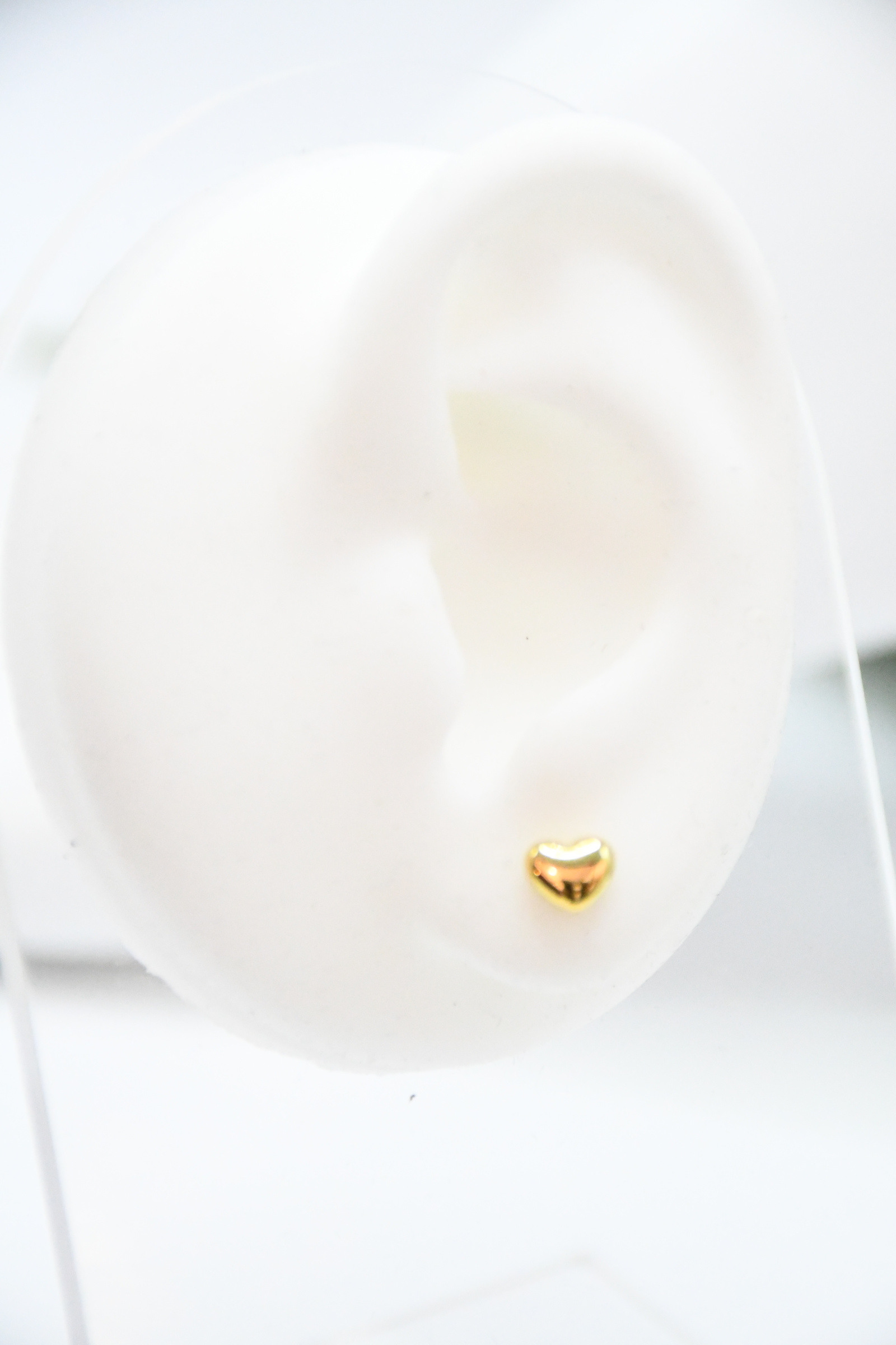 Wholesaler ROSA - Stainless steel earrings