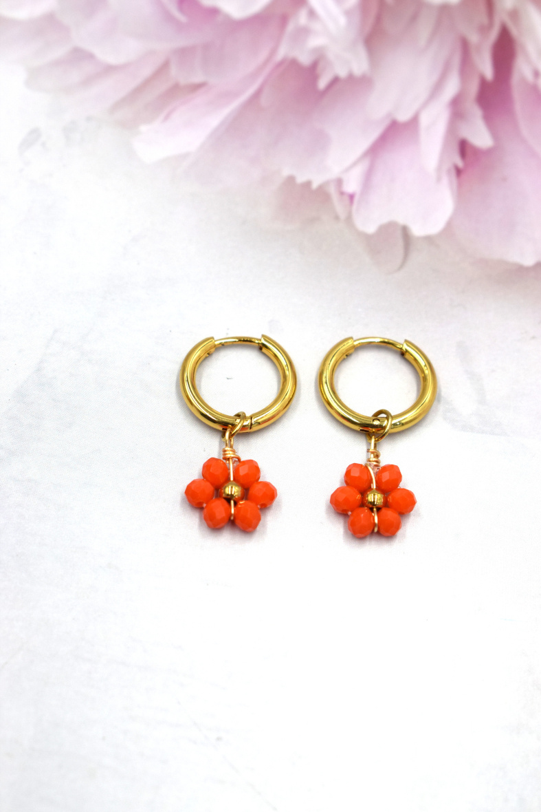 Wholesaler Rouge Bonbons - STEEL EARRINGS
