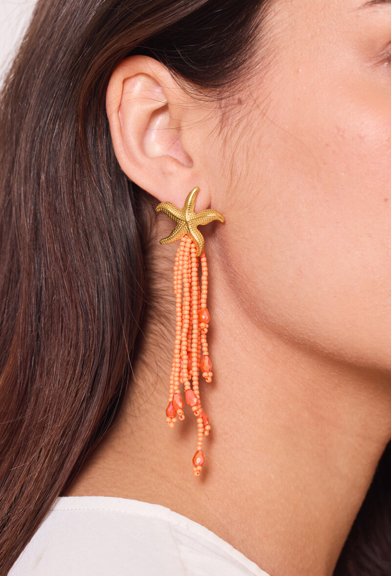 Wholesaler Rouge Bonbons - STAINLESS STEEL EARRINGS