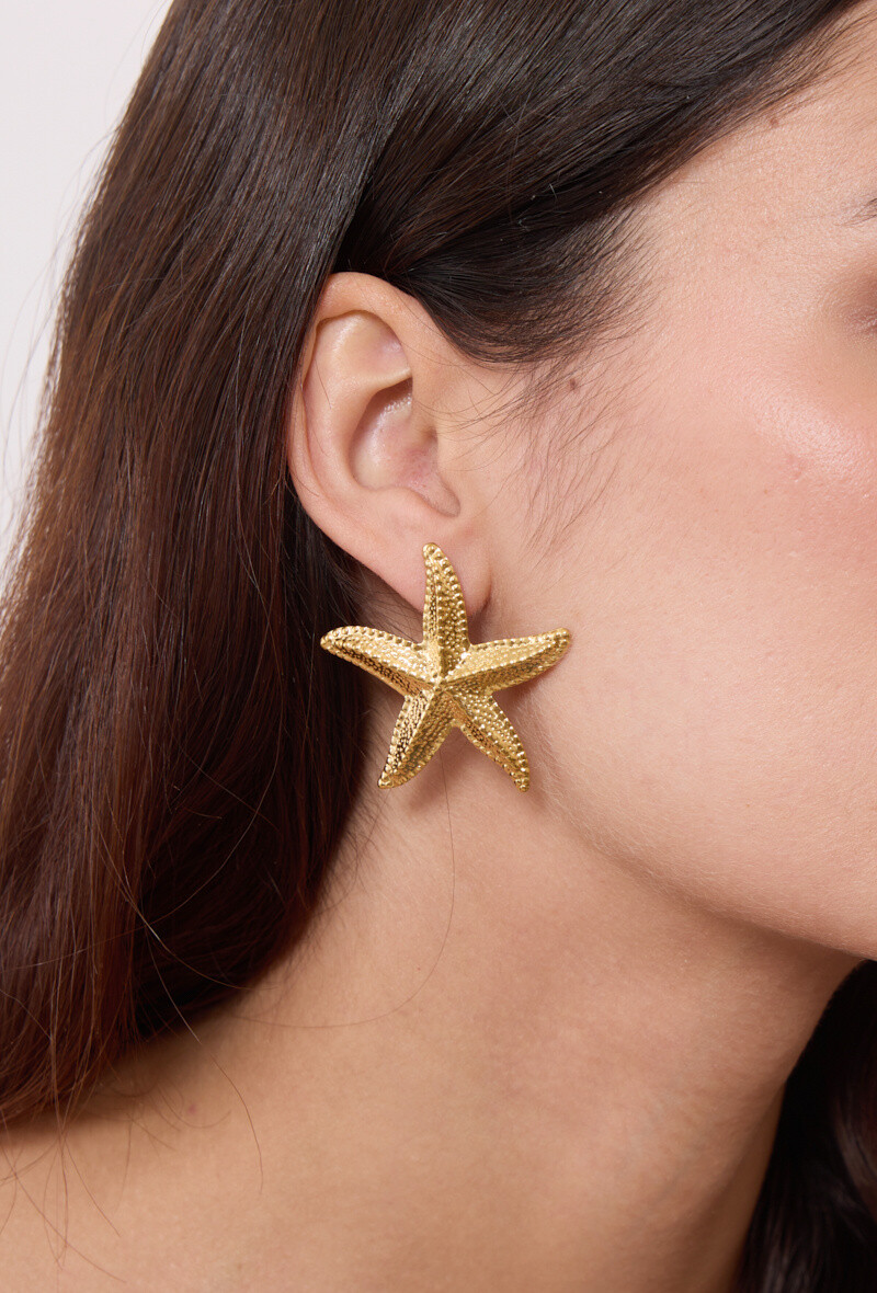 Wholesaler Rouge Bonbons - Stainless steel starrish earrings
