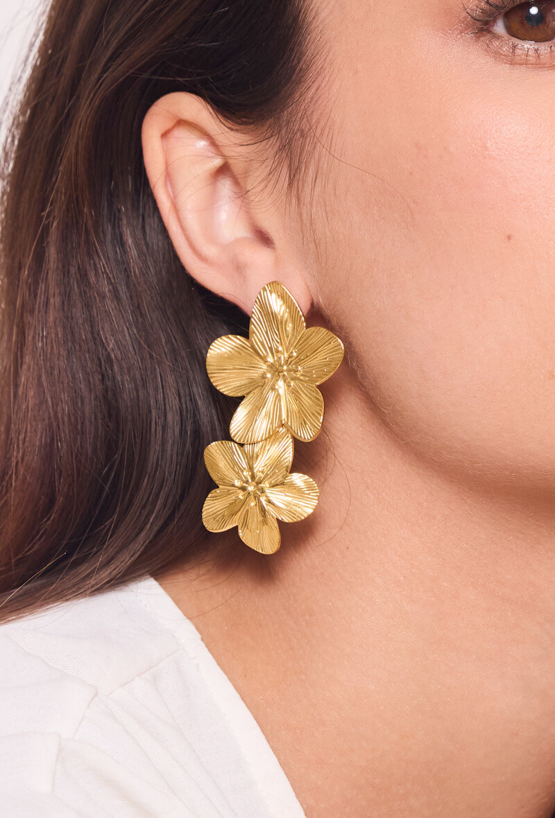 Wholesaler Rouge Bonbons - STAINLESS STEEL EARRINGS