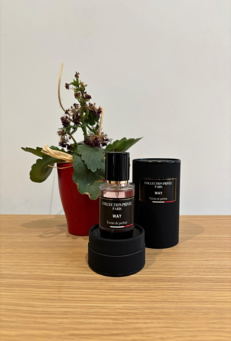 Grossiste SARCINAS - parfum WAY 50ml