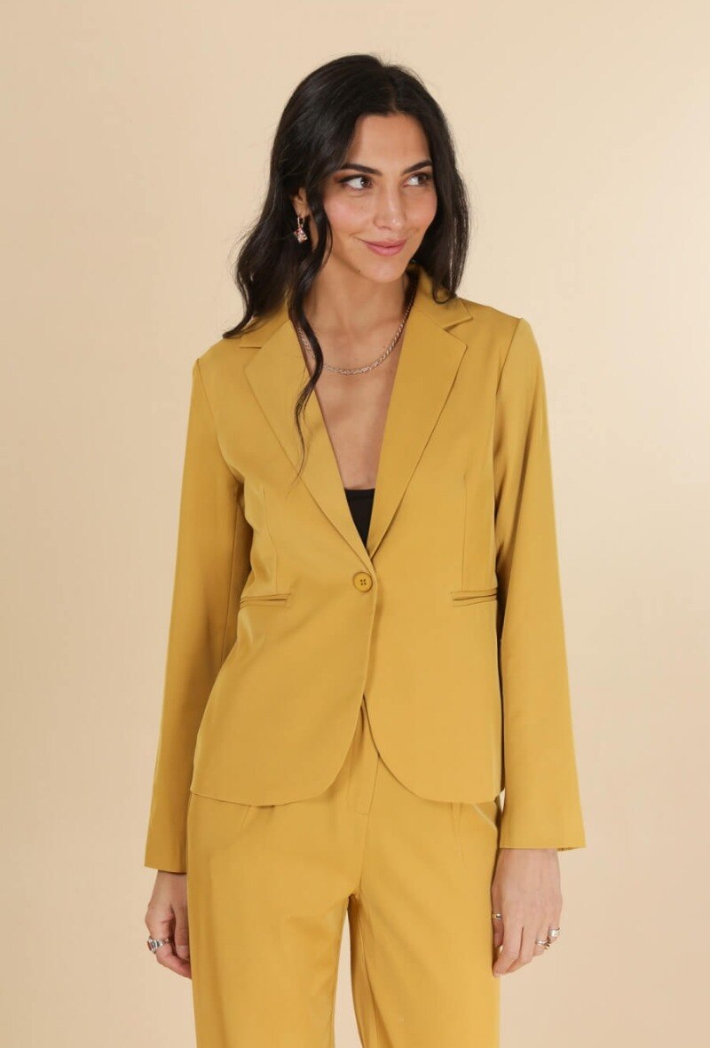 Grossiste Sophyline - Blazer simple boutonnage