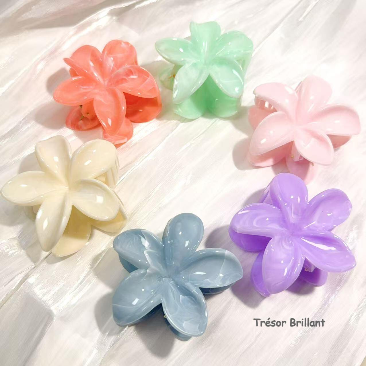 Großhändler Trésor Brillant - Set mit 12 Blumen-Haarspangen 8 cm