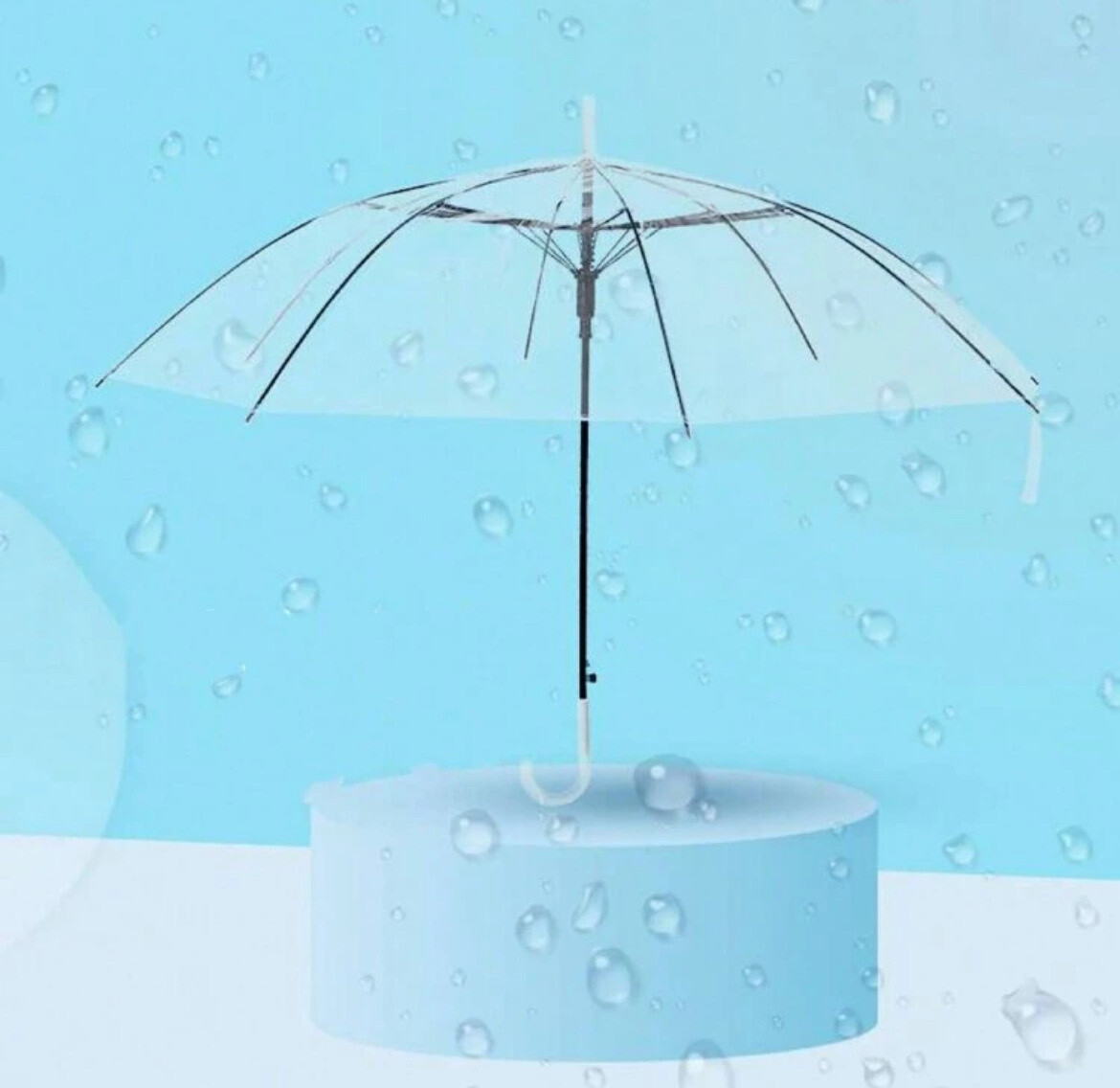 Wholesaler Victoria EL - umbrella