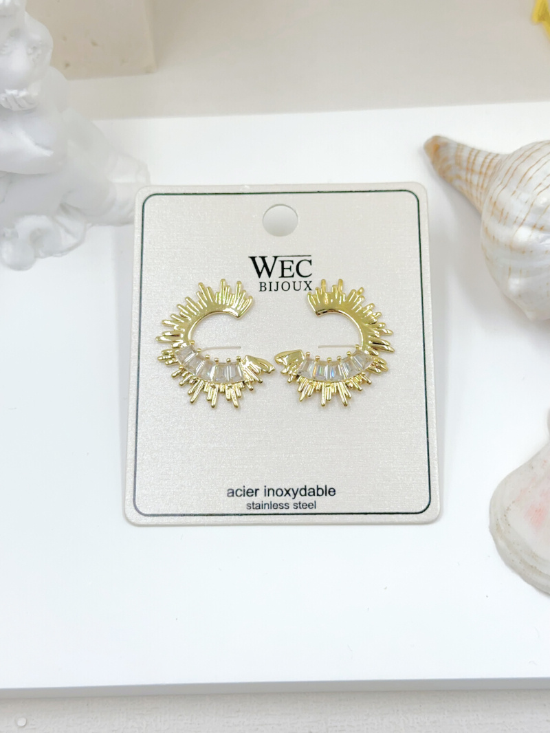 Grossiste WEC Bijoux - BOUCLES D'OREILLES EN ACIER INOXYDABLE