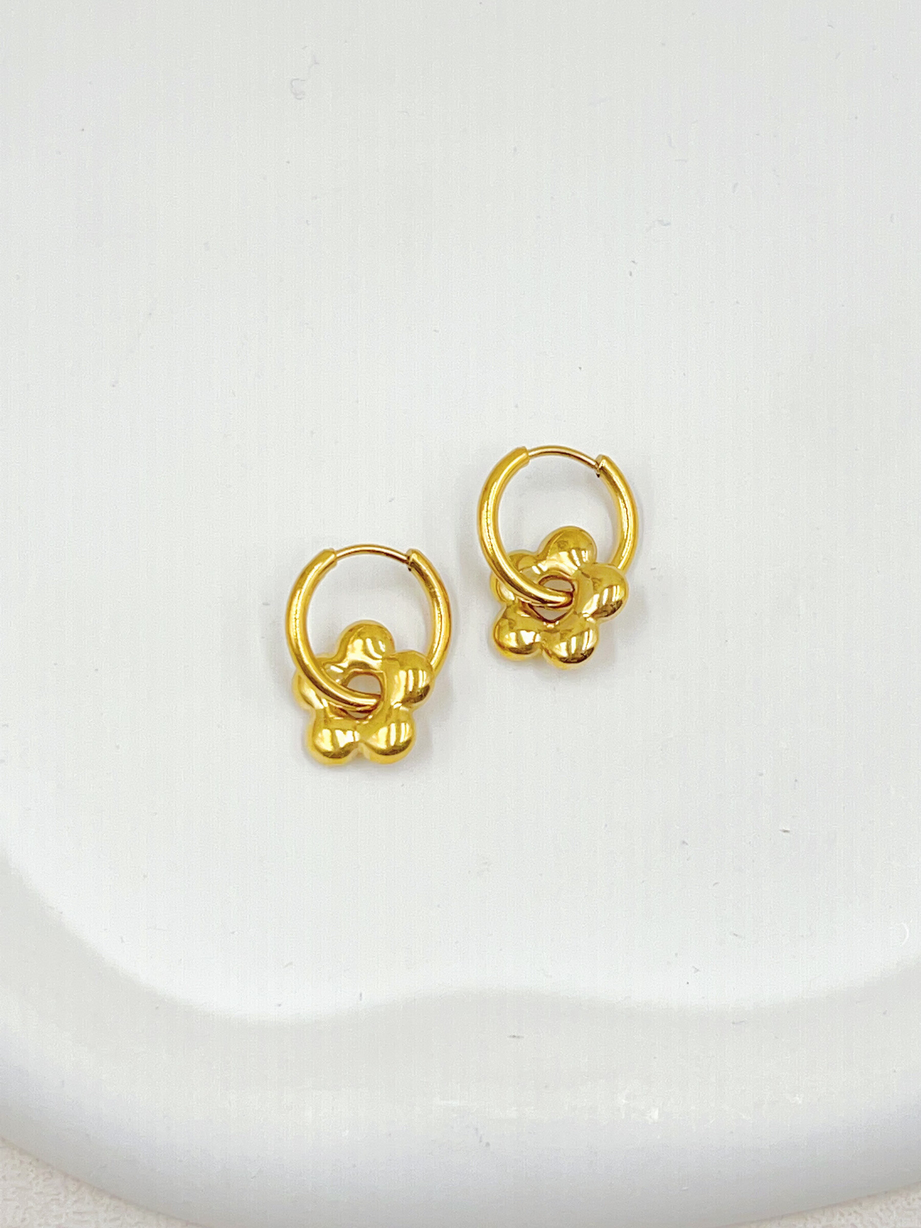 Wholesaler WEC Bijoux - STAINLESS STEEL EARRINGS