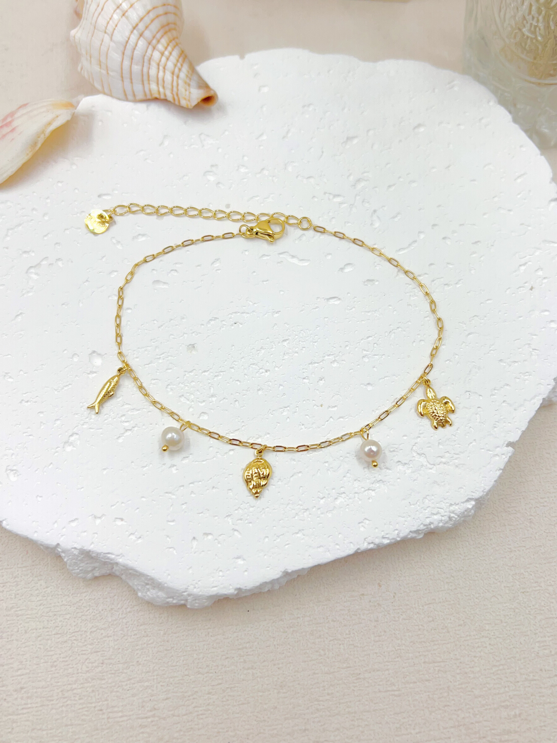 Wholesaler WEC Bijoux - Stainless steel ankle chain