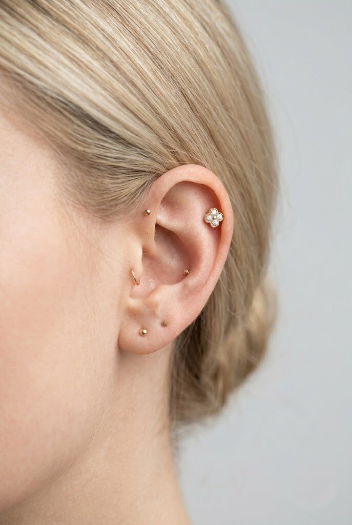 Großhändler WEC Bijoux - Vierblättriges Kleeblatt Piercing aus Titan & Zirkonia