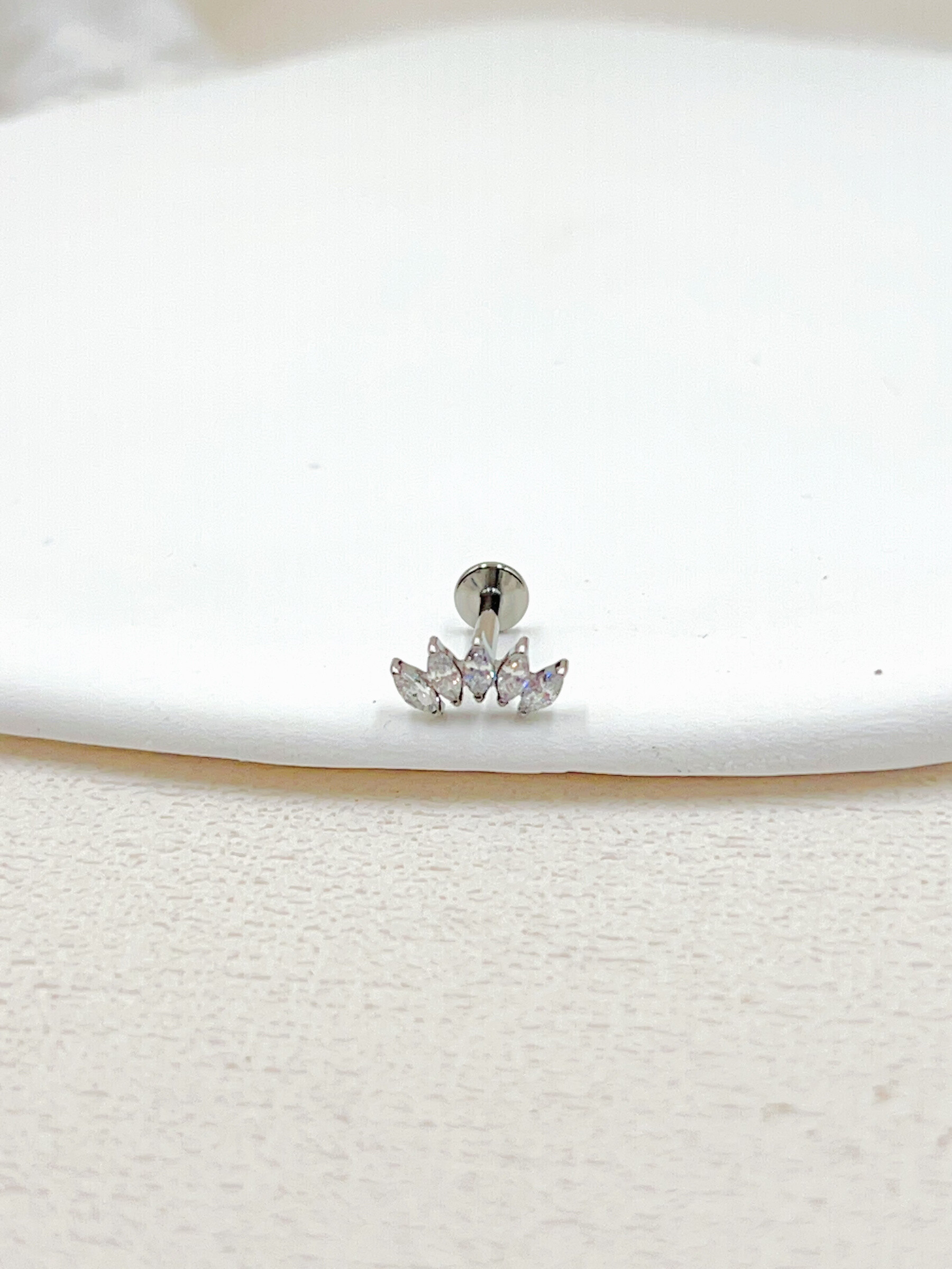 Wholesaler WEC Bijoux - Titanium piercing, zirconium