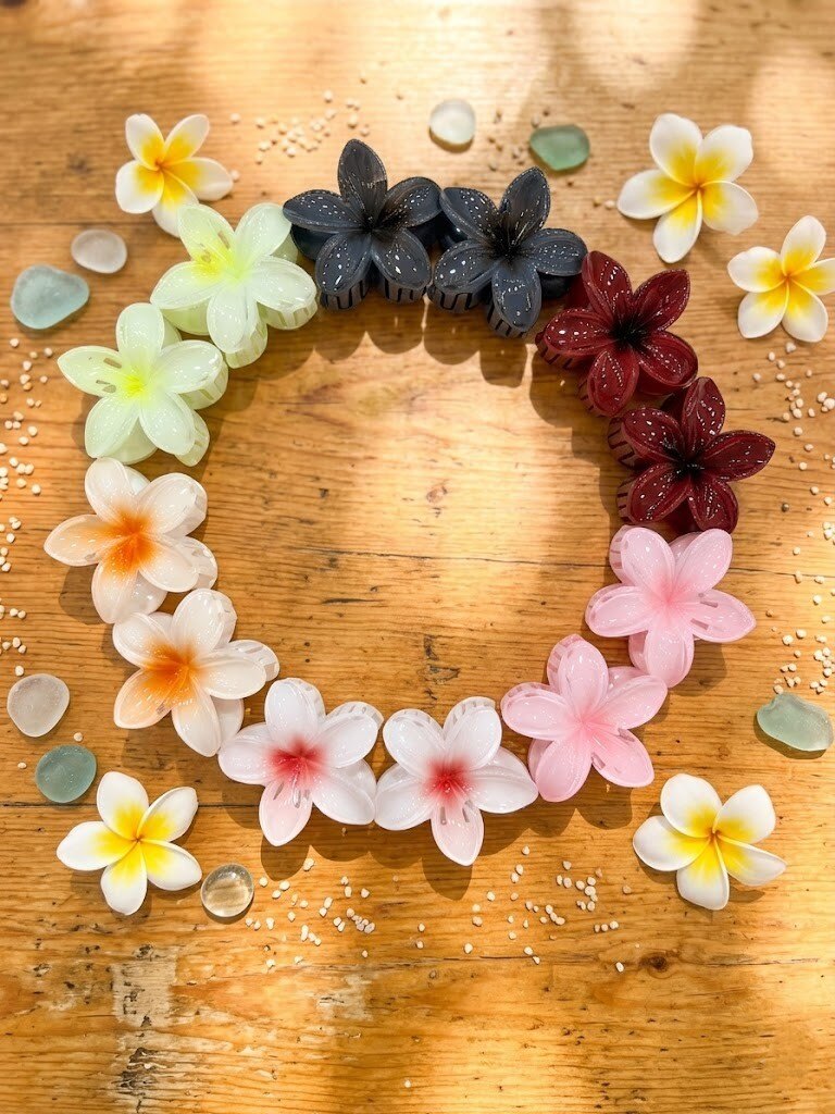 Grossiste WEC - Lot de 12 Pinces Crabe Fleur de Tiaré