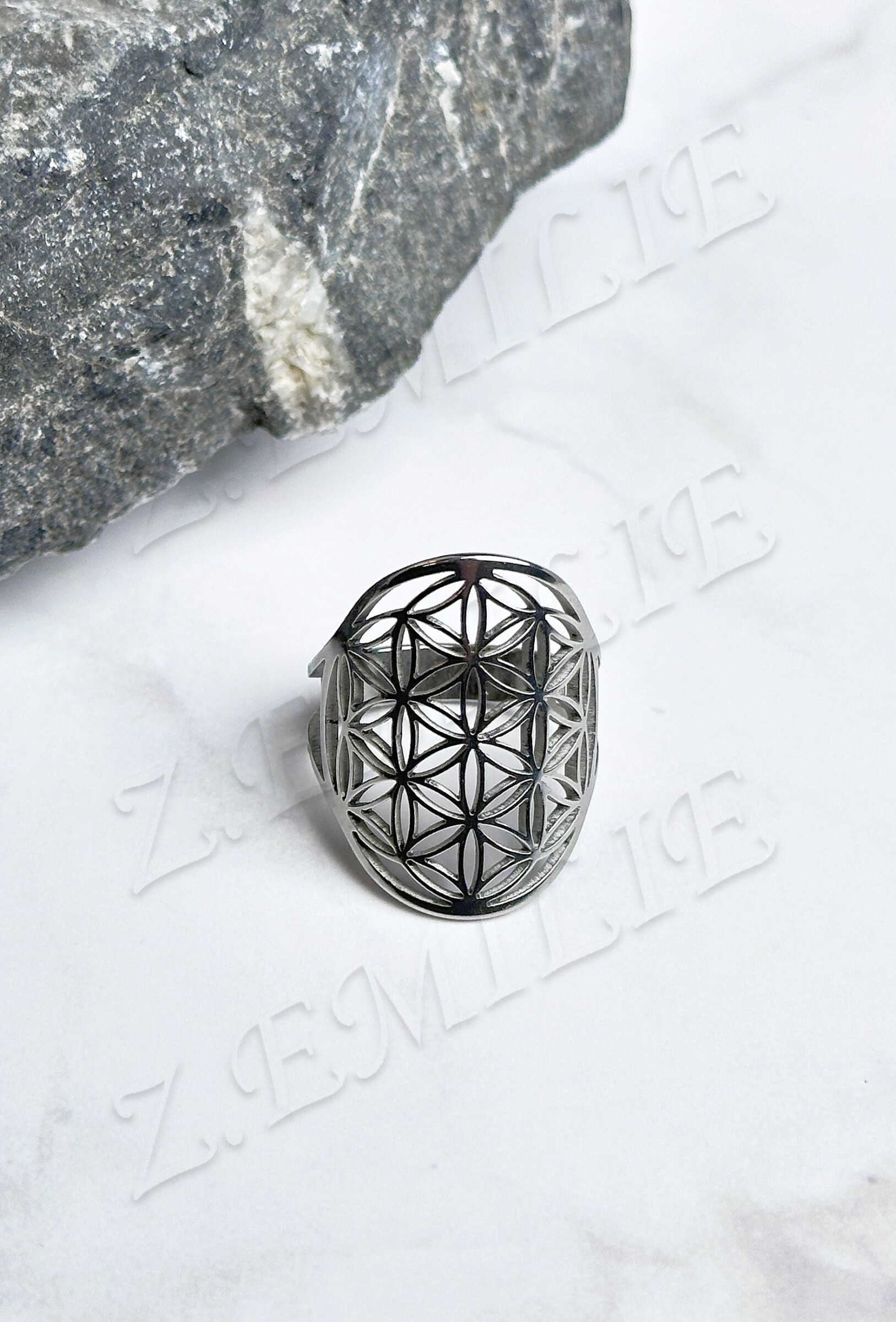 Wholesaler Z. Emilie - Steel ring