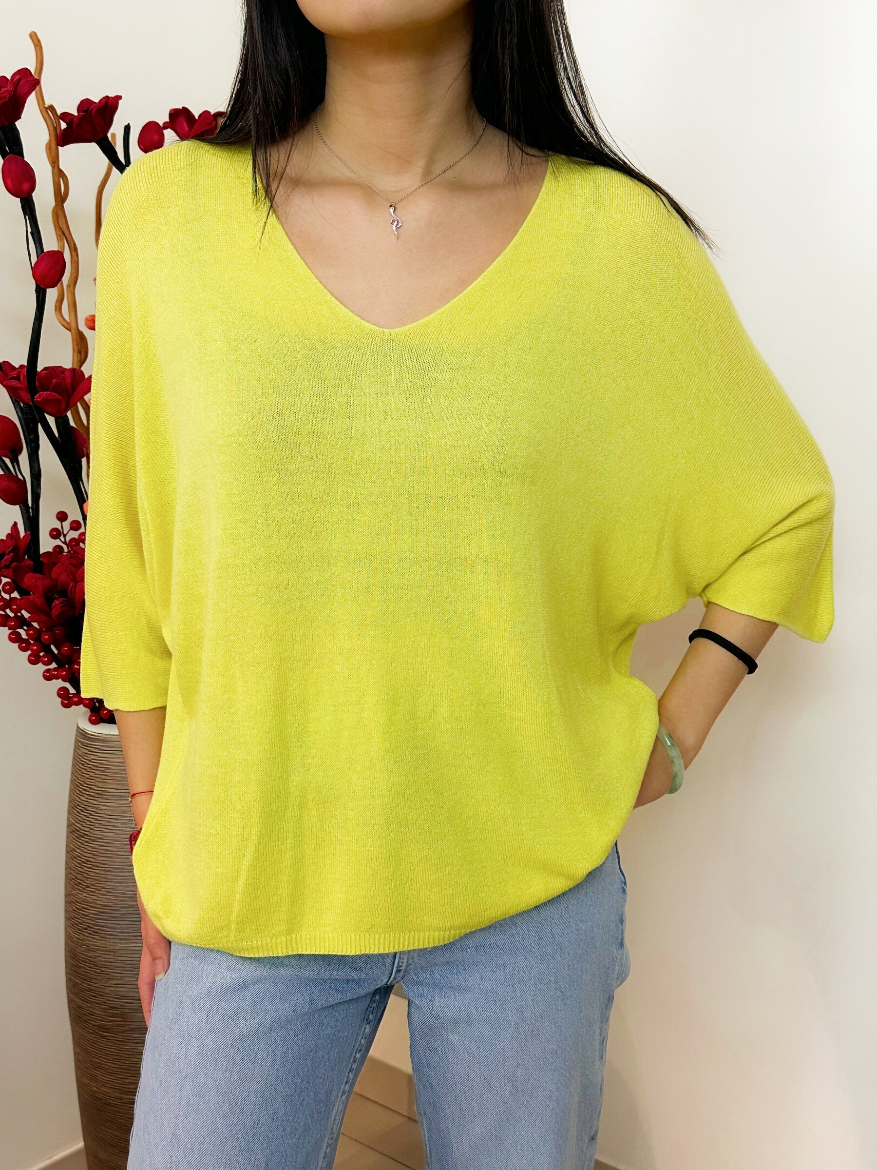 Grossiste Zafa - Pull fine maille