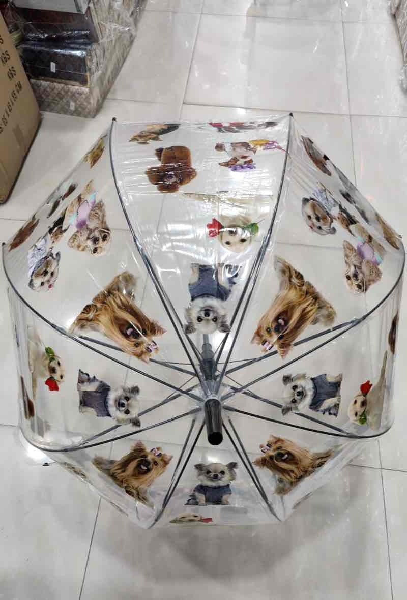 Grossista DH DIFFUSION - Ombrelli trasparenti Cani E