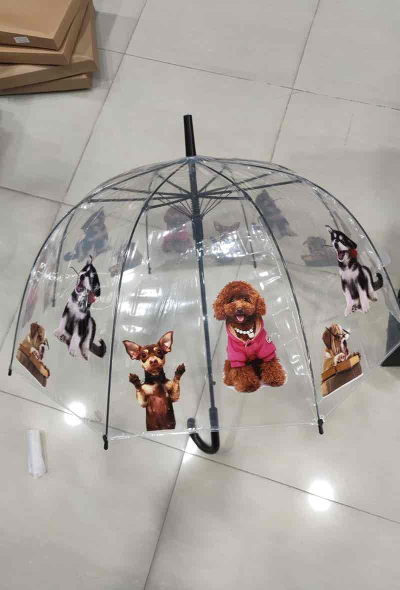 Mayorista DH DIFFUSION - Paraguas transparentes Perros D