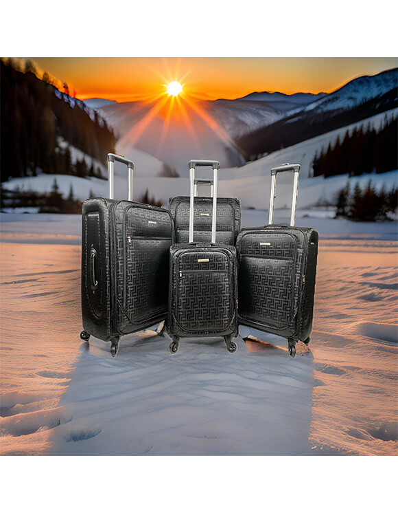 Wholesaler Laurent L® - EMBROIDERY, set of 4 brown nylon suitcases with embroidered canvas.