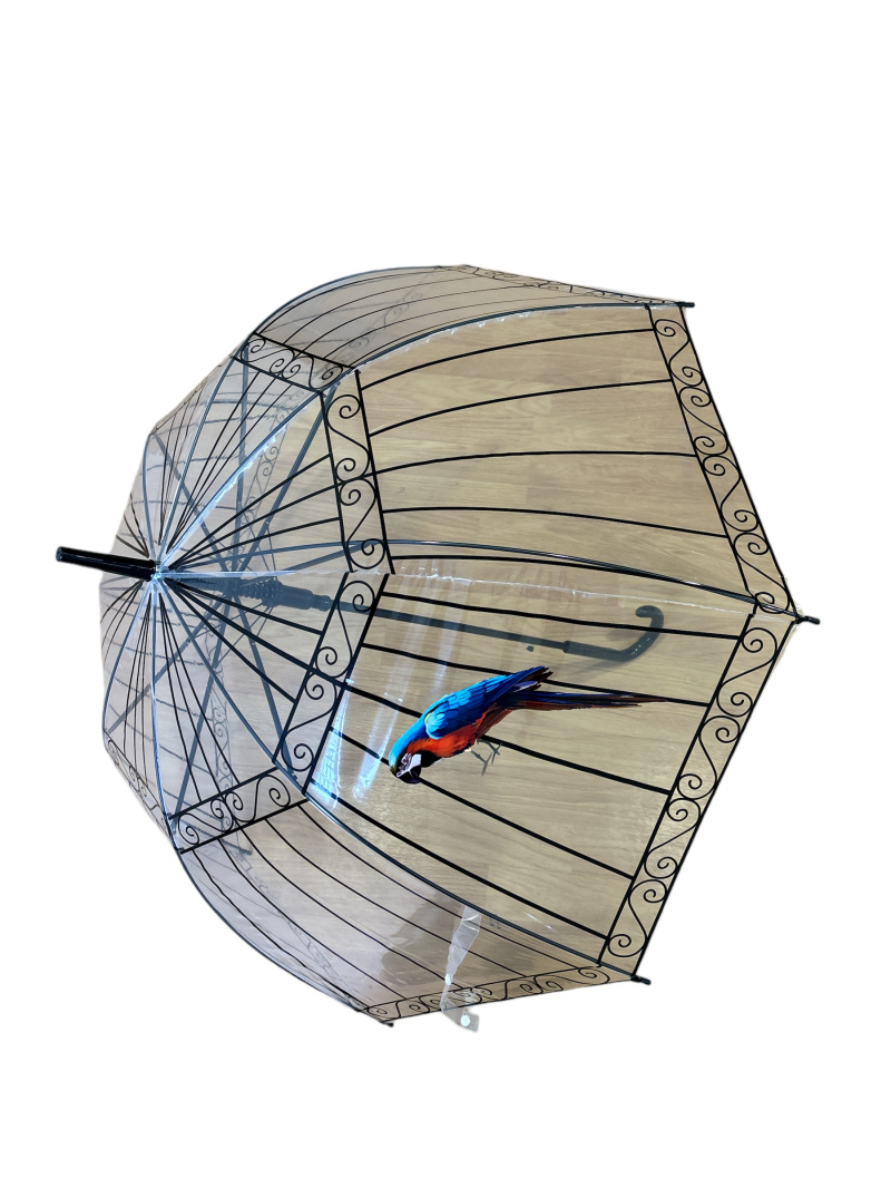 Wholesaler JULIET'S&CO - Cane umbrella