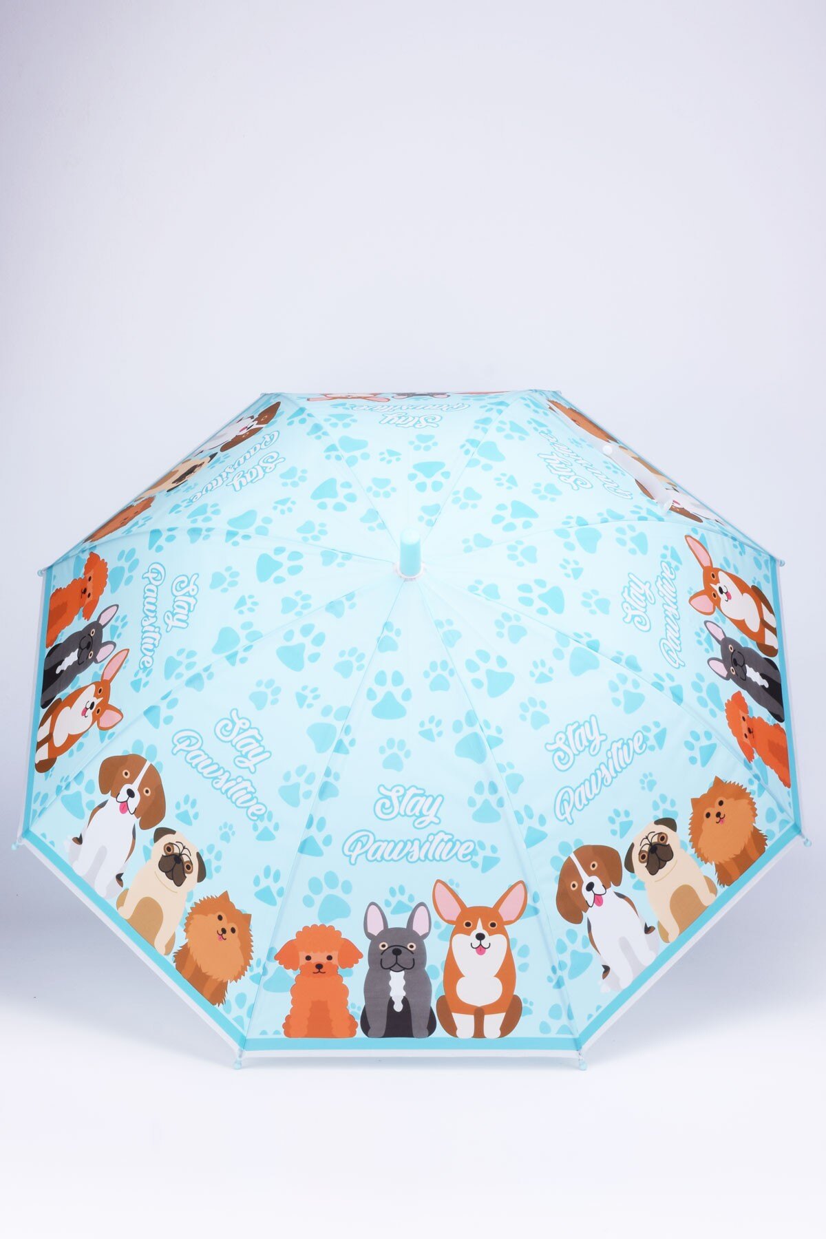 Grossista KENNY JONES - Ombrello bambino Cagnolini RST083