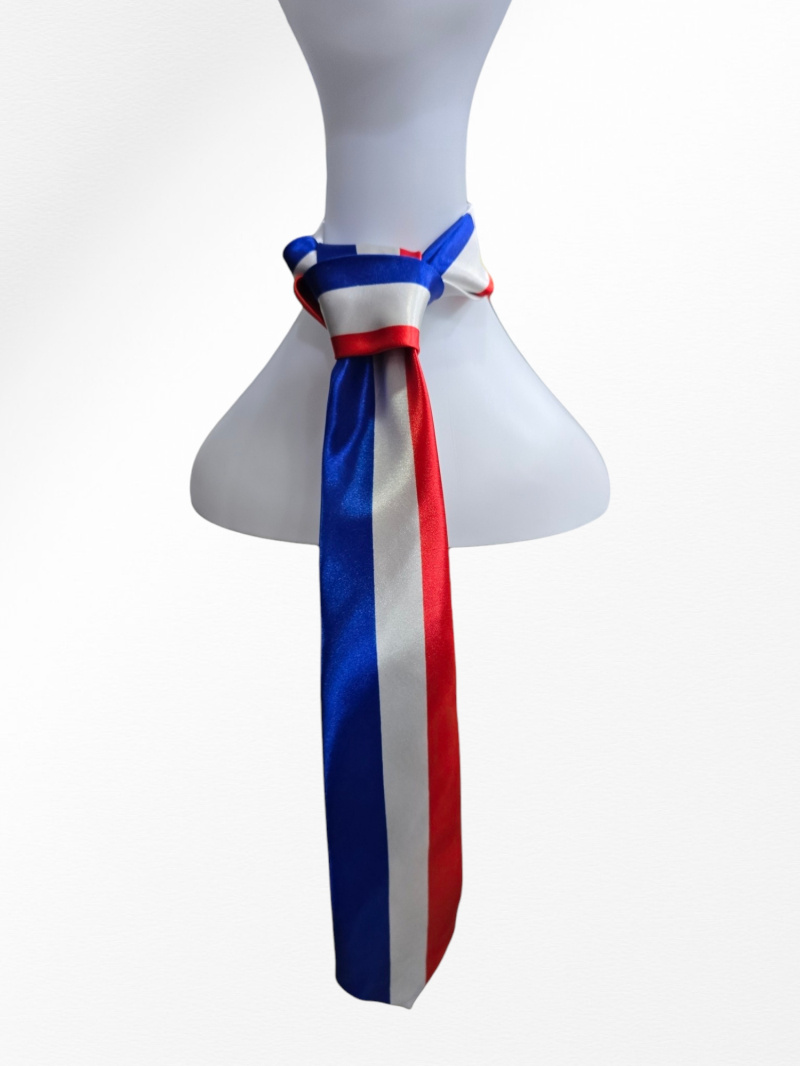 Wholesaler LEXA PLUS - France tie