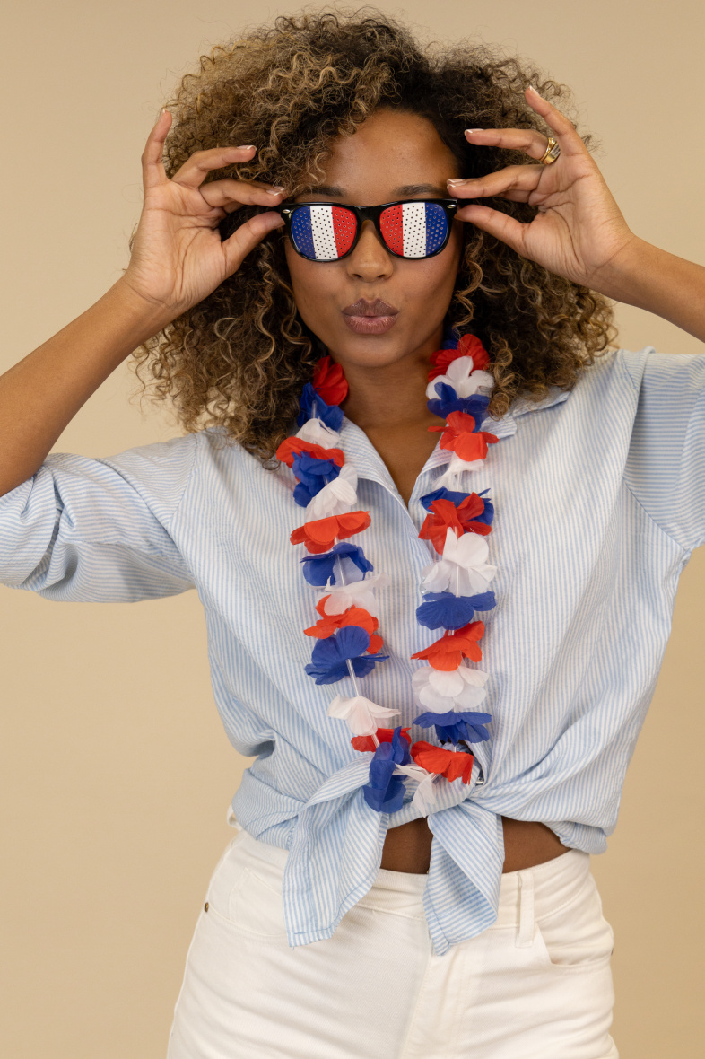 Mayorista LEXA PLUS - Gafas de disfraz de Francia.