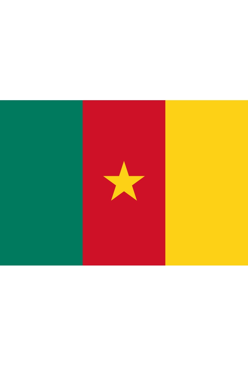 Grossiste LEXA PLUS - Drapeau Cameroun 150x90 cm