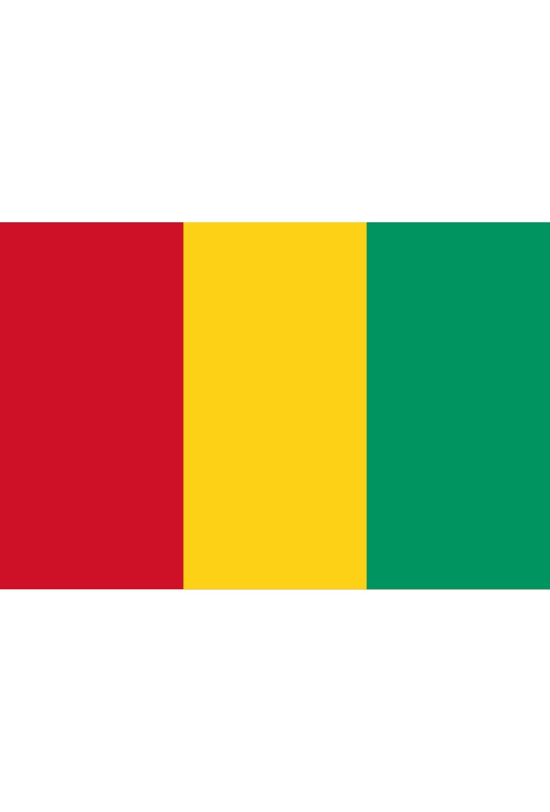 Grossista LEXA PLUS - Bandiera Guinea Conakry 150x90 cm