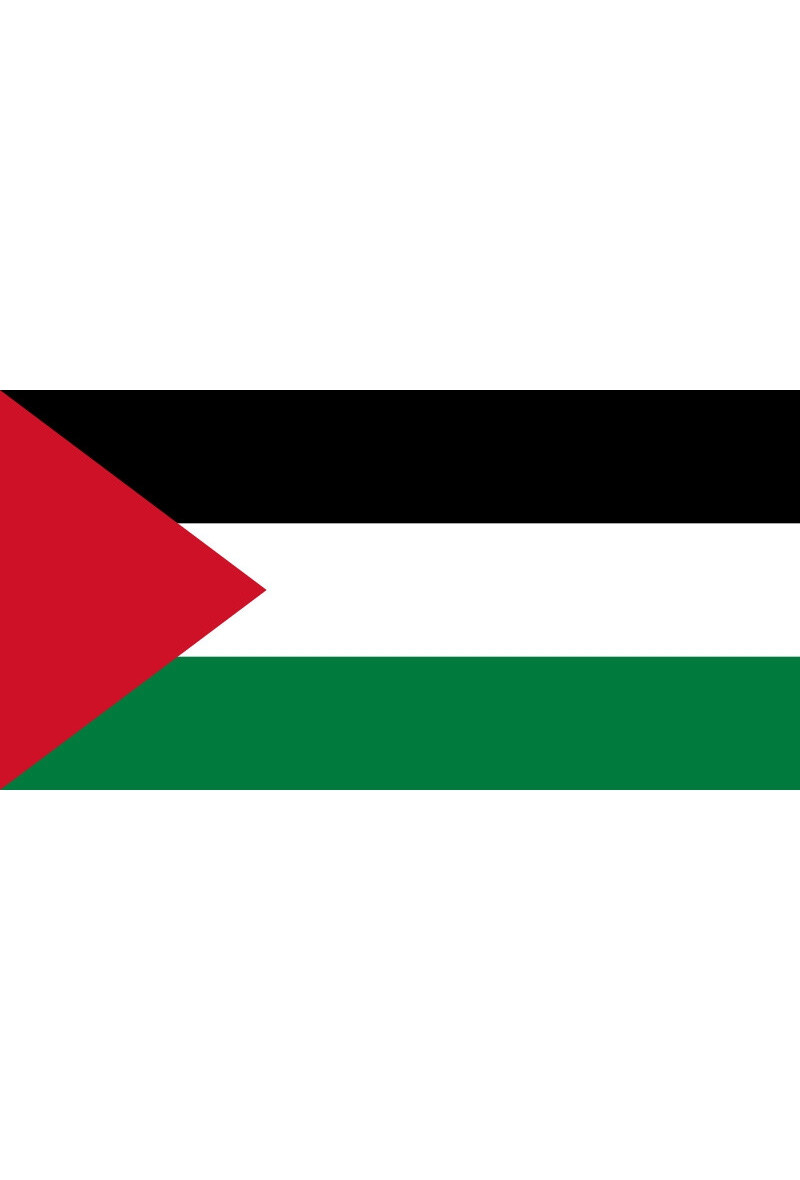 Grossiste LEXA PLUS - Drapeau Palestine 150x90 cm