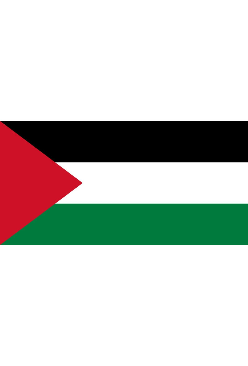 Grossiste LEXA PLUS - Drapeau Palestine 150x90 cm