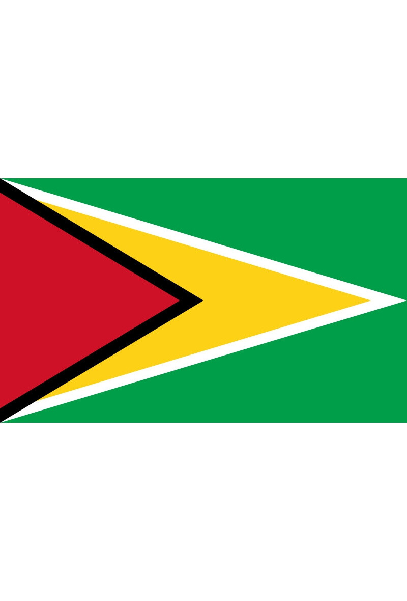 Grossiste LEXA PLUS - Drapeau Guyana 150x90 cm