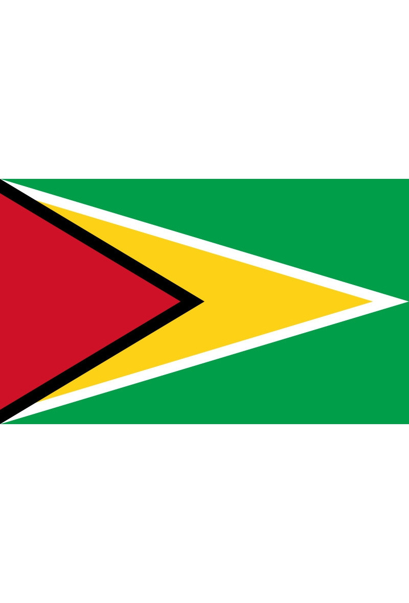 Grossiste LEXA PLUS - Drapeau Guyana 150x90 cm