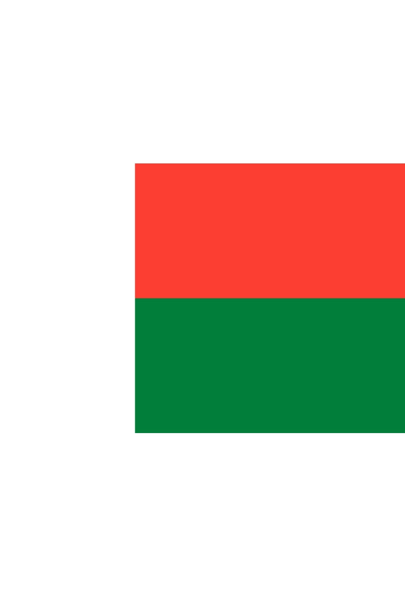 Grossiste LEXA PLUS - Drapeau Madagascar 150x90 cm