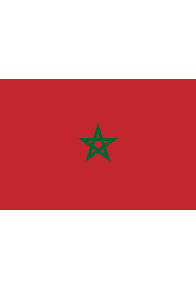 Grossiste LEXA PLUS - Drapeau Maroc 150x90 cm