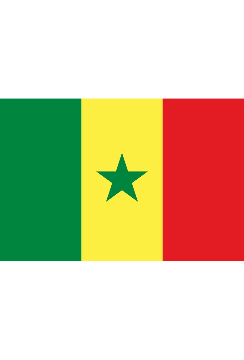Grossiste LEXA PLUS - Drapeau Sénégal 150x90 cm