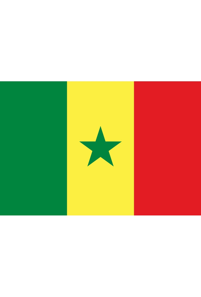 Grossiste LEXA PLUS - Drapeau Sénégal 150x90 cm