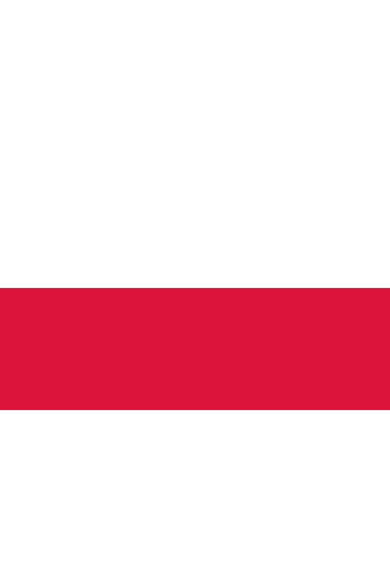 Grossiste LEXA PLUS - Drapeau Pologne 150x90 cm