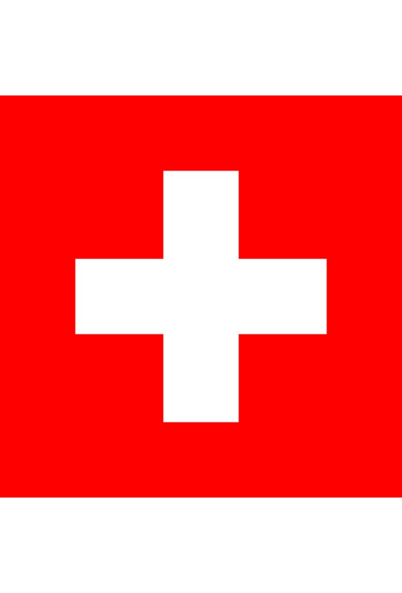 Grossiste LEXA PLUS - Drapeau Suisse 150x90 cm