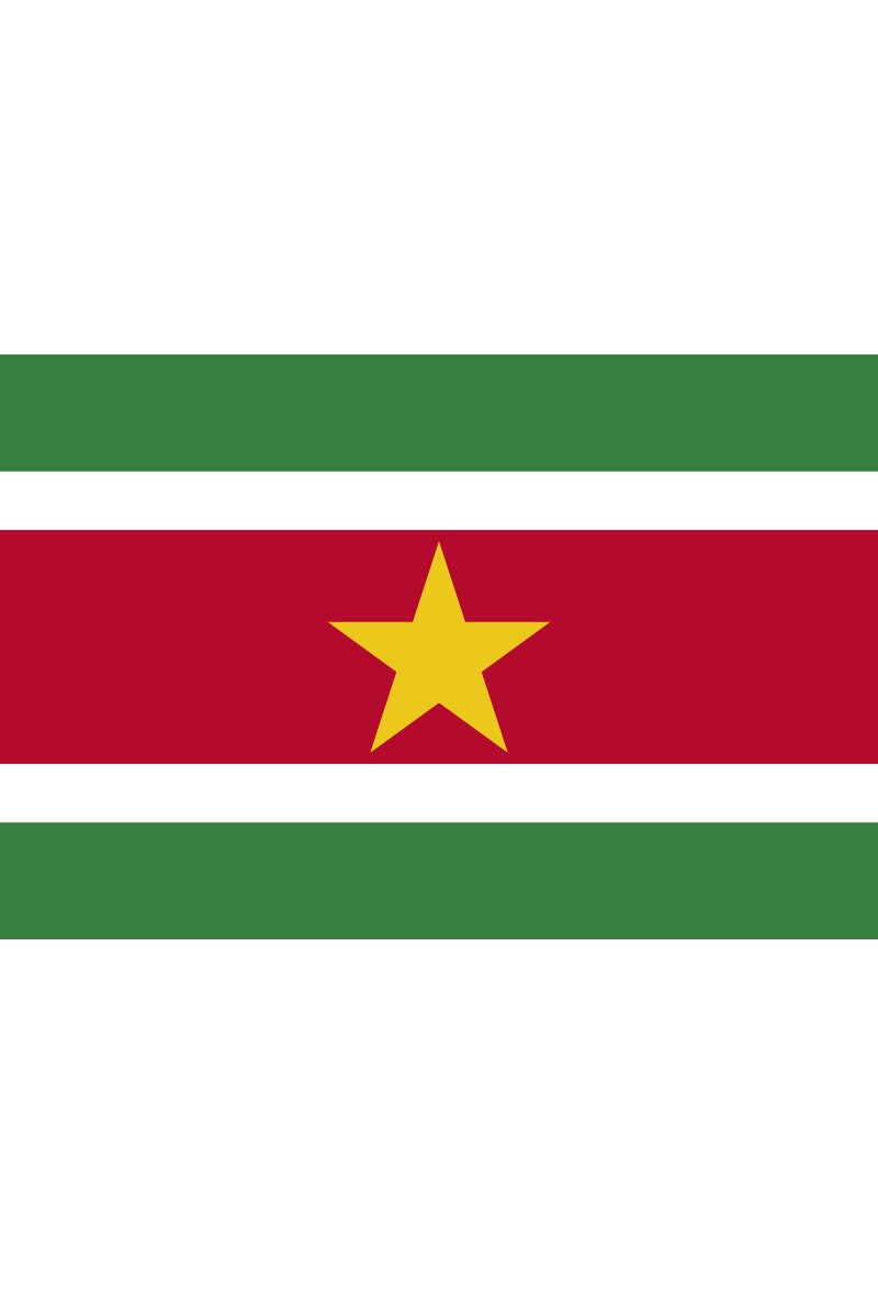 Grossiste LEXA PLUS - Drapeau Suriname 150x90 cm