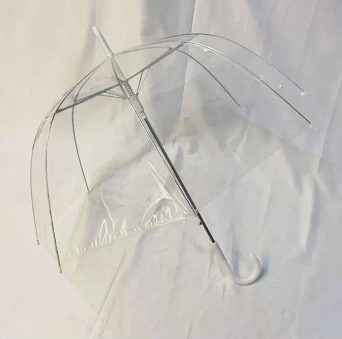 Wholesaler Massiliano Sergio - Transparent umbrella