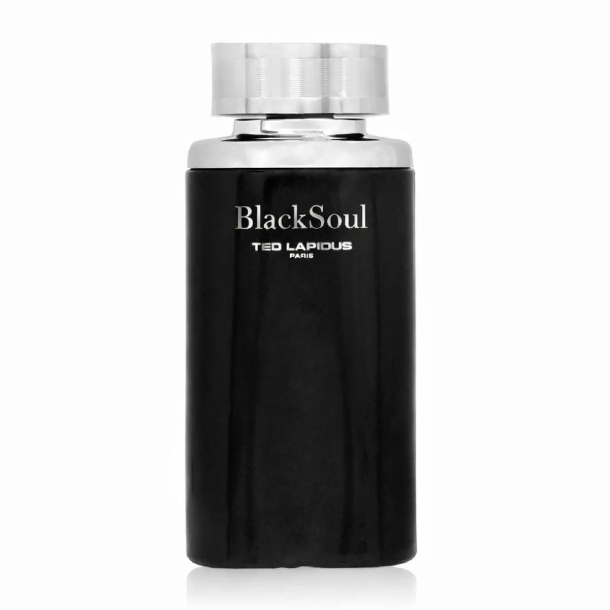 Grossiste NEKAN SUPERTRADER - 100 ml Ted Lapidus - Black Soul - Eau de Toilette pour homme