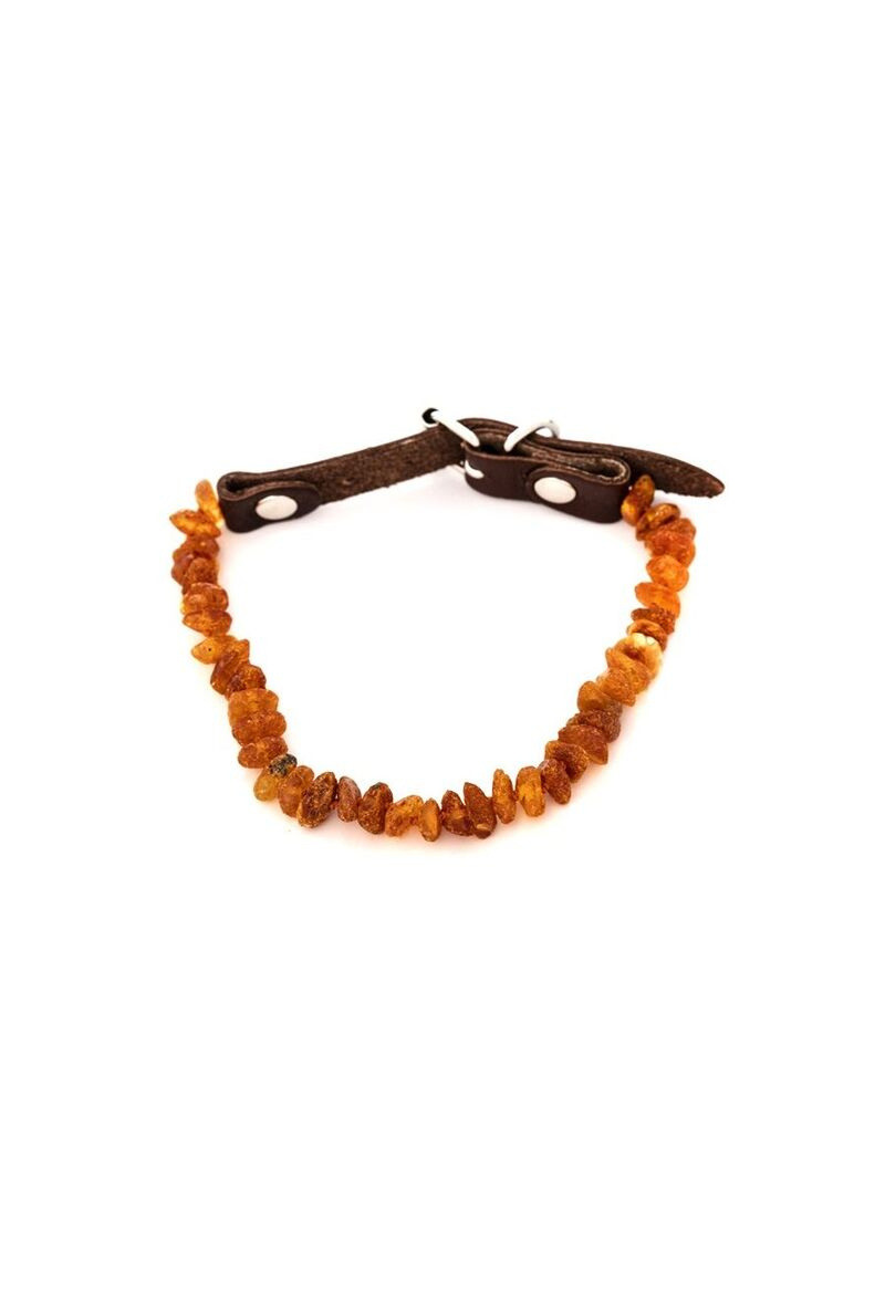 Wholesaler OPALOOK FRANCE - Dog necklace 20-25 cm raw amber-nb15-s