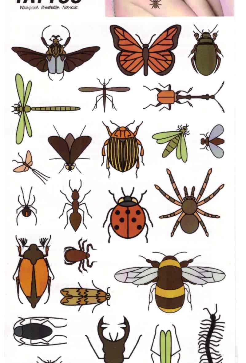 Mayorista Z. Emilie - Tatuaje temporal